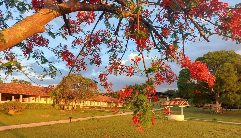 Sertao Veredas Hotel Fazenda Paraopeba Экстерьер фото